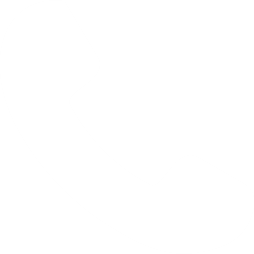phone call white icon